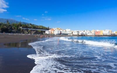 ¿Qué hacen con sus cosas los turistas Alemanes que vienen a vivir en invierno a Tenerife?